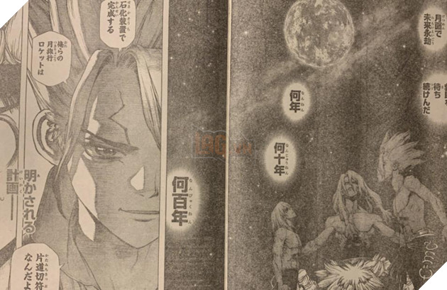 spoiler dr.stone 209