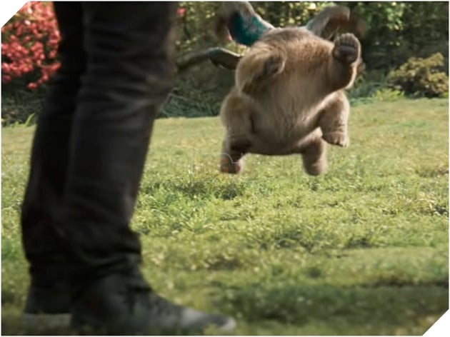 Sinh vật bí ẩn nhất bộ phim Shang-Chi chính thức có phiên bản thú nhồi bông