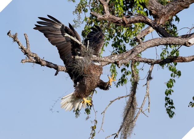 Tổng hợp những hình ảnh các bé động vật hoang dã nhưng lại có cảm xúc vô cùng hài hước khiến bạn cười quên sầu 9