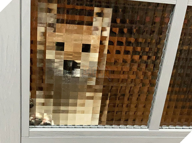 Bất ngờ phát hiện 1 chiếc Shiba độ phân giải thấp khiến cộng đồng mạng cười mãi không thôi 2