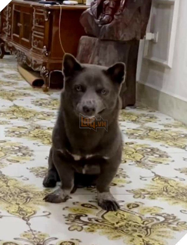 Idol Nguyễn Văn Dúi - Ngày nào còn thơ với khuôn mặt gợi đòn nay đã là bố của tụi nhỏ 13