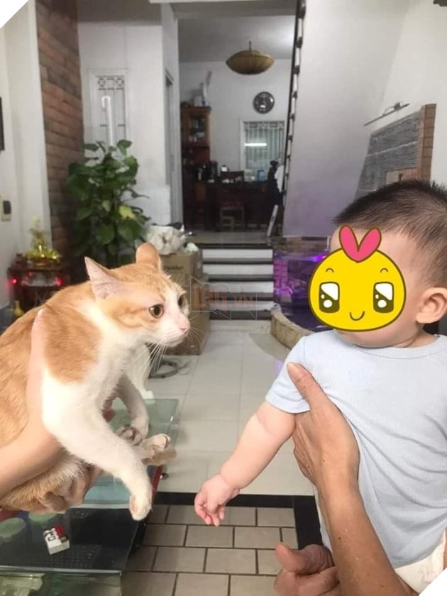 Diễn viên Hô-li-wút Lạc Lạc thoát kiếp đóng thế vì sen đã trở thành zú em full time 4