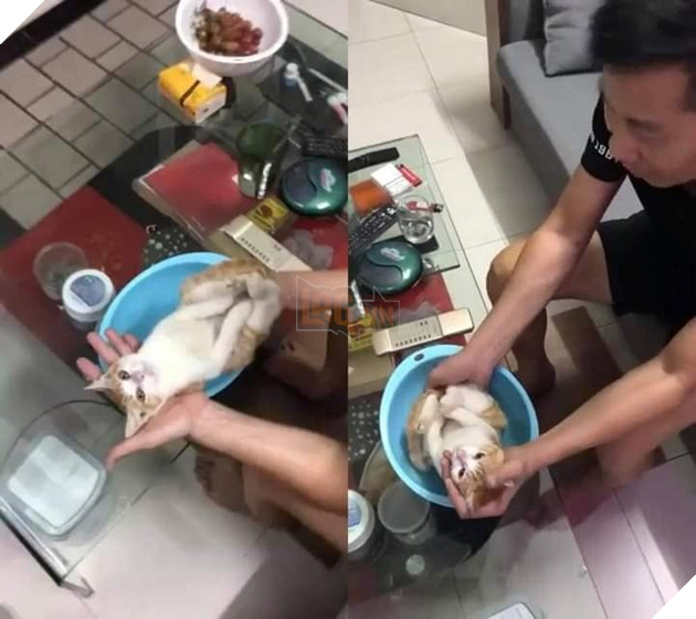 Diễn viên Hô-li-wút Lạc Lạc thoát kiếp đóng thế vì sen đã trở thành zú em full time