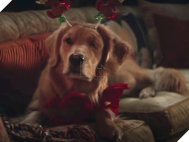 Soi những chi tiết ẩn cực thú vị được cài cắm trong trailer Hawkeye 5