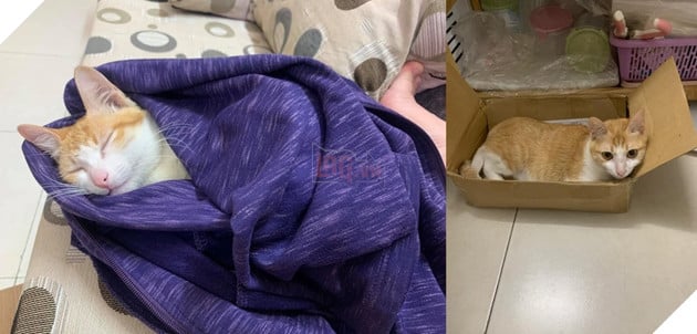  
Ngoại trừ có phần mỡ màng hơn, Lạc Lạc vẫn đáng yêu như vậy. (Ảnh: Fanpage Lạc Lạc)