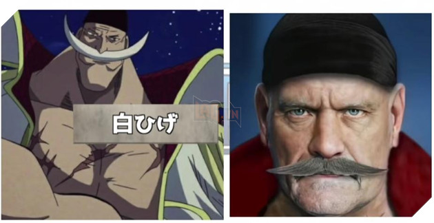 fanart one piece người thật