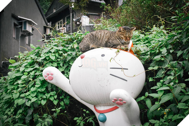 Thơ mộng với làng mèo ở Đài Loan, Không gian chỉ còn con sen và hoàng thượng mập mạp 4