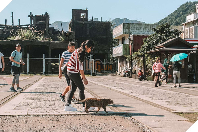 Thơ mộng với làng mèo ở Đài Loan, Không gian chỉ còn con sen và hoàng thượng mập mạp 3