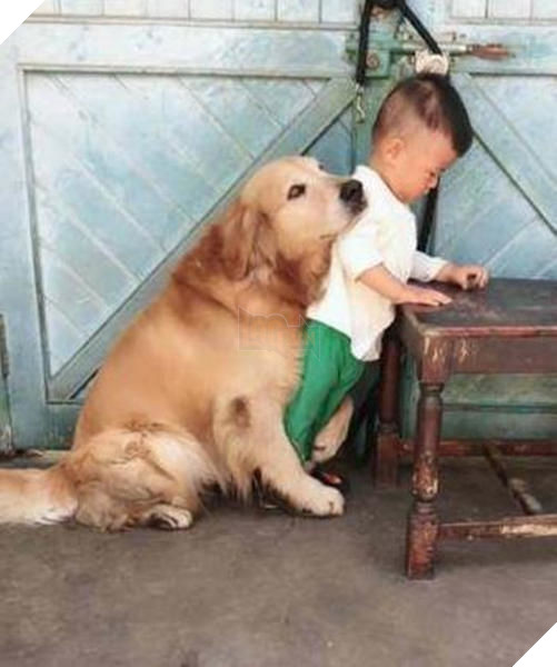 Thấy bố sắp cho cậu chủ ăn hành, boss cưng chạy tới năn nỉ xin tha