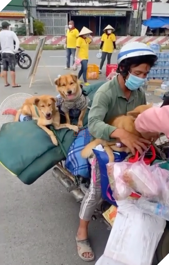  
Gia đình nhỏ dừng lại nhận sự hỗ trợ từ bà con dọc tuyến quốc lộ (Ảnh chụp màn hình)