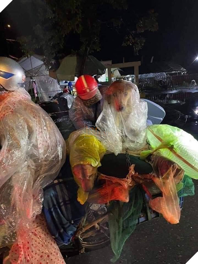  
"Được ăn ngon, ngủ yên rồi mấy đứa ơi" (Ảnh: Ở nhà vui thấy bà