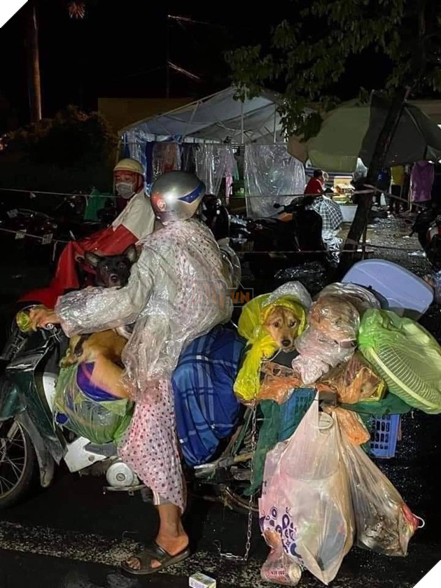  
Một hành trình dài nhưng thật may mắn vì tất cả đều bình an (Ảnh: Ở nhà vui thấy bà)