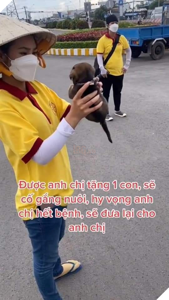 Vui mừng khi vẫn còn 1 bé cún an toàn theo chủ về Cà Mau 2