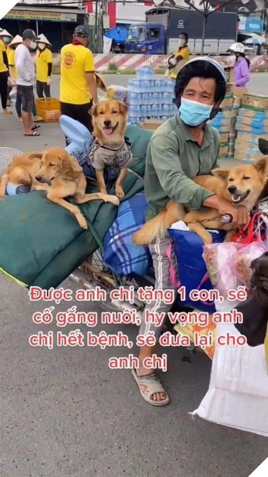 Vui mừng khi vẫn còn 1 bé cún an toàn theo chủ về Cà Mau