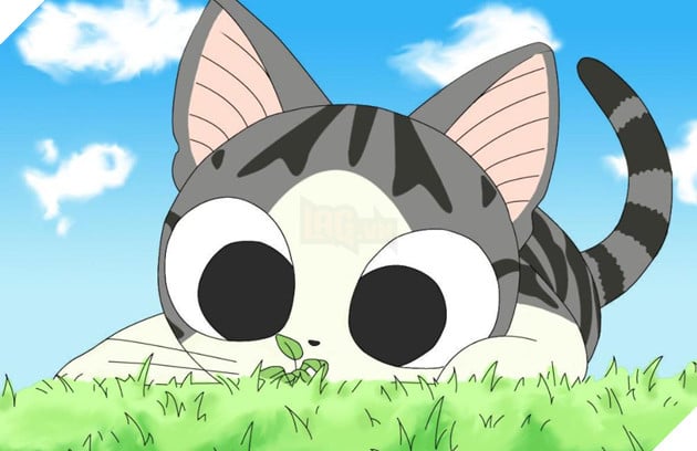 Chi's Sweet Home - Chi