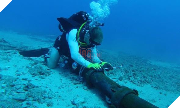 Tuyến cáp quang biển AAG lại bị đứt - ảnh 1