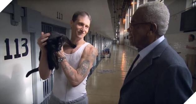 Nuoi meo trong nha tu o My anh 15