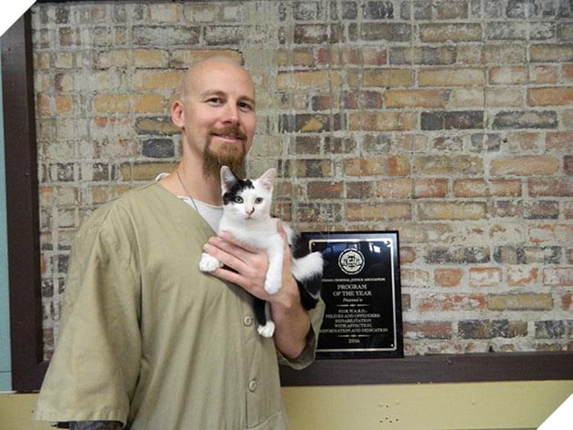 Nuoi meo trong nha tu o My anh 8