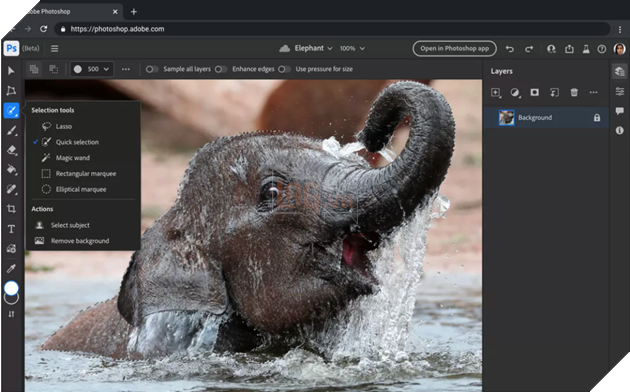 Adobe đang đưa các ứng dụng Photoshop và Illustrator lên web