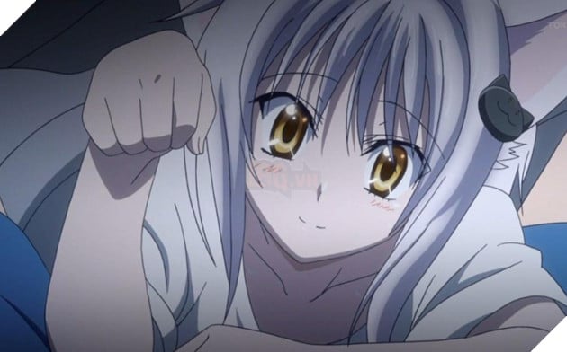Toujou Koneko - Highschool DxD