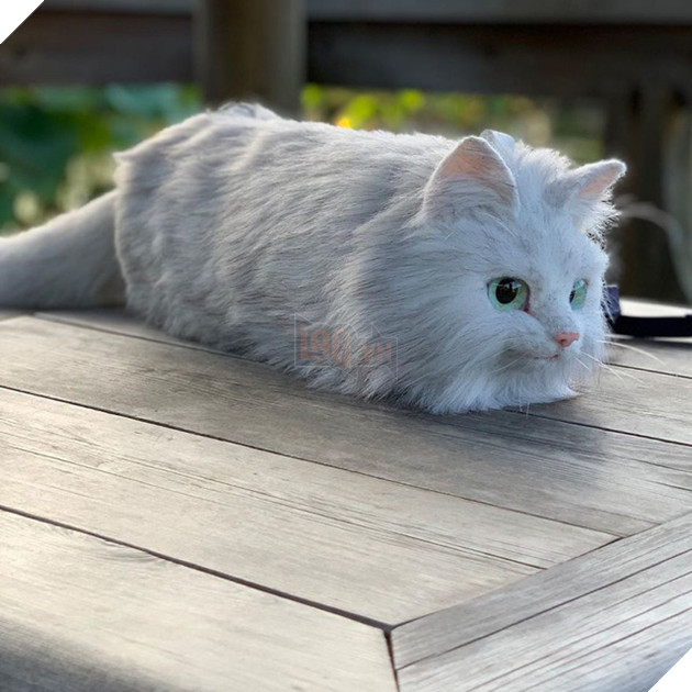 Doc dao chiec balo, tui xach hinh con meo “gay me” gioi tre-Hinh-5