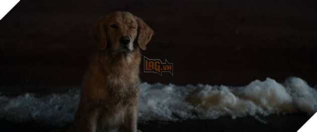 Hawkeye: Cùng LagVN săn trứng phục sinh trong hai tập phim đầu tiên Phần 2  2