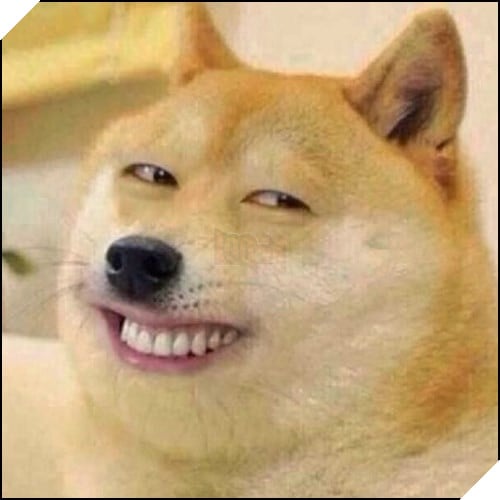 Tổng hợp những meme chó cực hài hước để comment dạo trên MXH 63