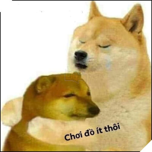 Tổng hợp những meme chó cực hài hước để comment dạo trên MXH 59