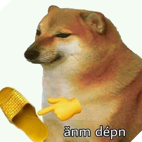 Tổng hợp những meme chó cực hài hước để comment dạo trên MXH 52