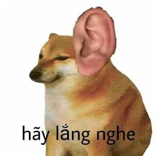 Tổng hợp những meme chó cực hài hước để comment dạo trên MXH 51