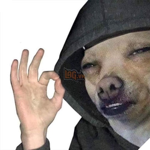 Tổng hợp những meme chó cực hài hước để comment dạo trên MXH 49