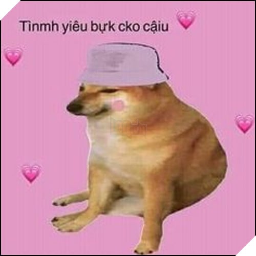 Tổng hợp những meme chó cực hài hước để comment dạo trên MXH 41