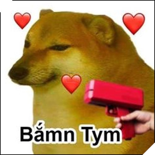 Tổng hợp những meme chó cực hài hước để comment dạo trên MXH 40