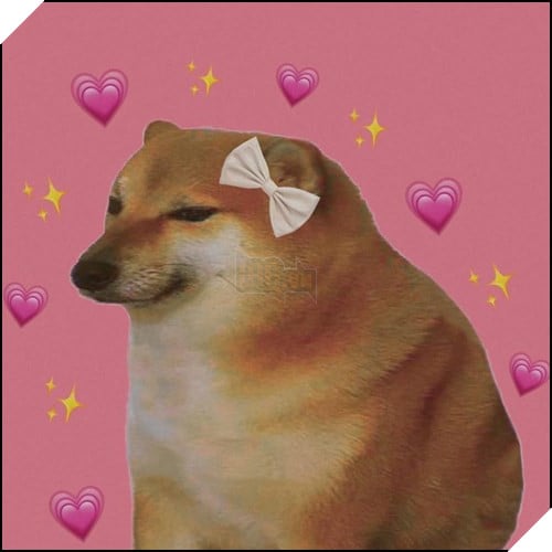 Tổng hợp những meme chó cực hài hước để comment dạo trên MXH 38