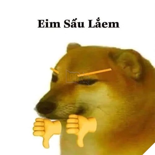 Tổng hợp những meme chó cực hài hước để comment dạo trên MXH 35