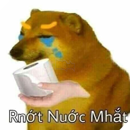 Tổng hợp những meme chó cực hài hước để comment dạo trên MXH 33