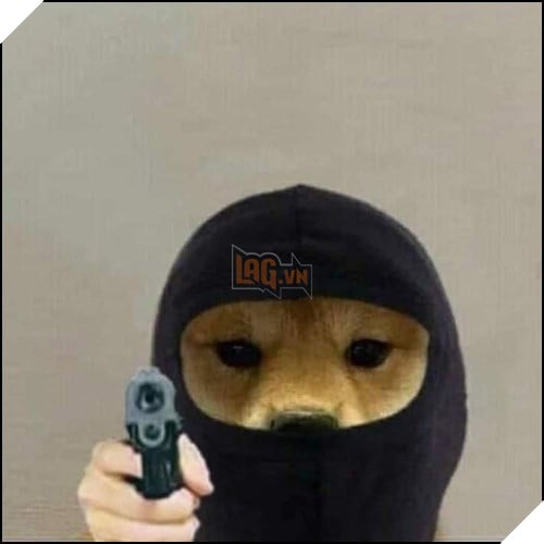 Tổng hợp những meme chó cực hài hước để comment dạo trên MXH 27