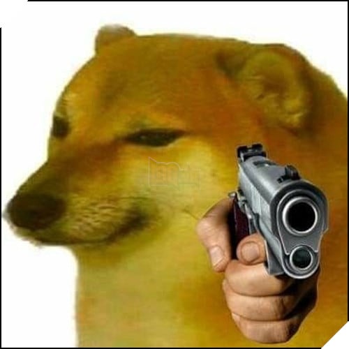 Tổng hợp những meme chó cực hài hước để comment dạo trên MXH 26