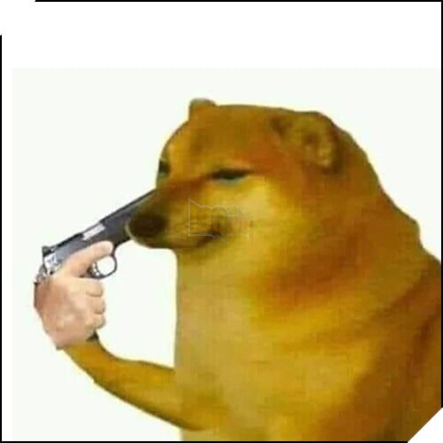 Tổng hợp những meme chó cực hài hước để comment dạo trên MXH 25