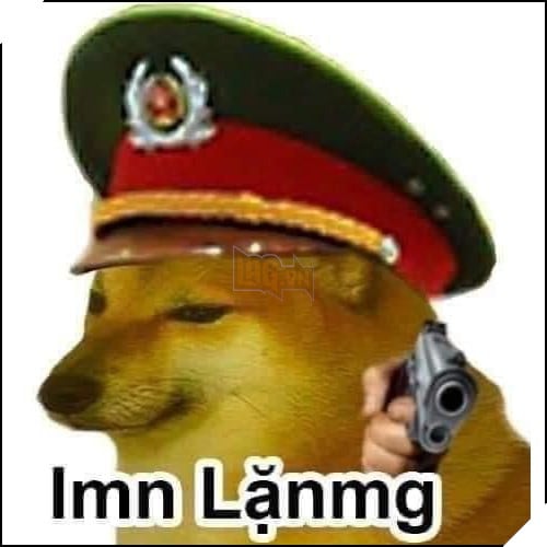 Tổng hợp những meme chó cực hài hước để comment dạo trên MXH 22