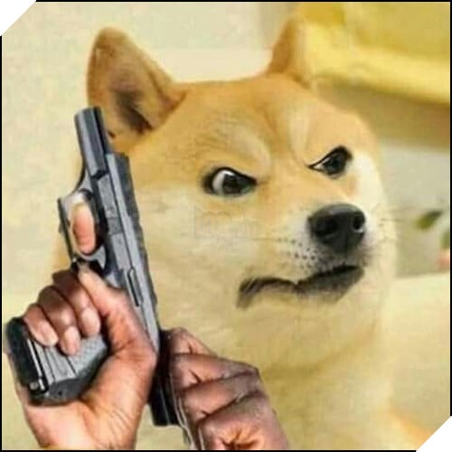 Tổng hợp những meme chó cực hài hước để comment dạo trên MXH 21