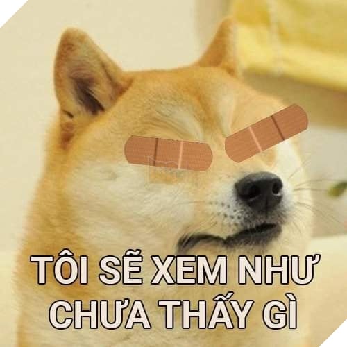 Tổng hợp những meme chó cực hài hước để comment dạo trên MXH 17