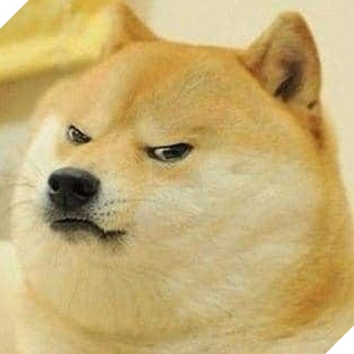 Tổng hợp những meme chó cực hài hước để comment dạo trên MXH 15