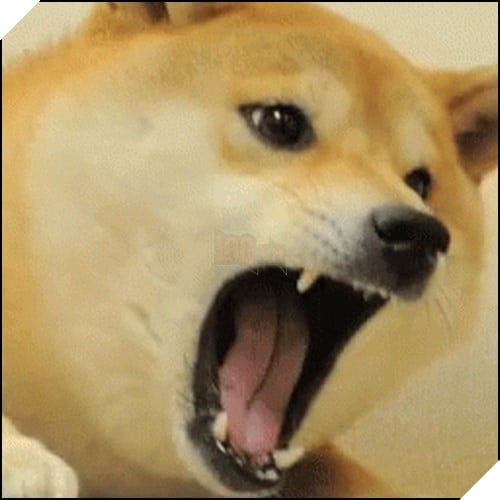 Tổng hợp những meme chó cực hài hước để comment dạo trên MXH 11