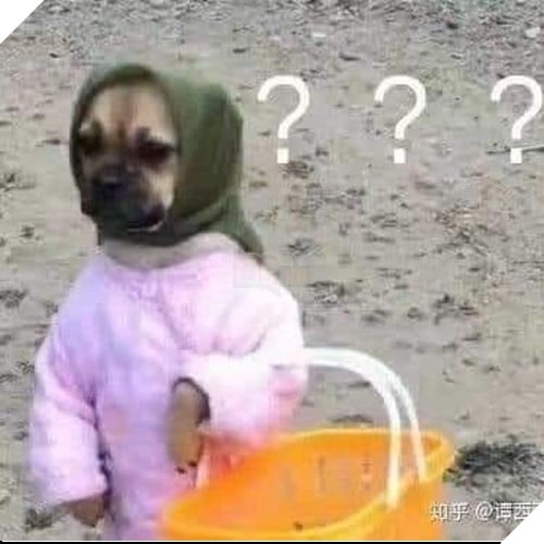 Tổng hợp những meme chó cực hài hước để comment dạo trên MXH 6