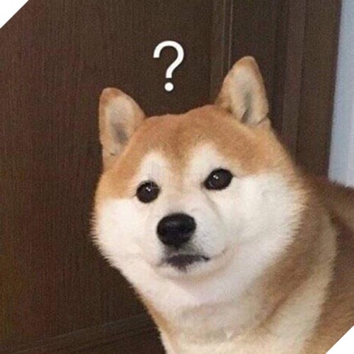 Tổng hợp những meme chó cực hài hước để comment dạo trên MXH 4