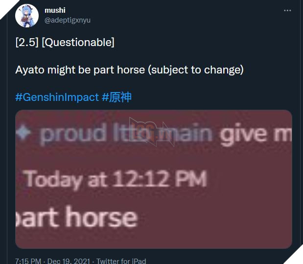 Genshin Impact: Leaker đồn rằng Ayato là tiên thú người lai ngựa - Thật giả lẫn lộn khiến fan đau đầu 4