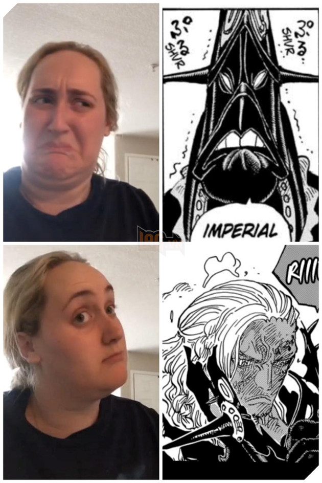 meme one piece chap 1035
