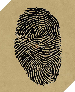 fingerprints7.jpg