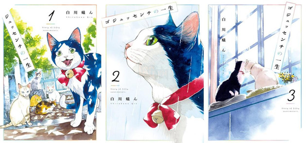 50cm Một Cuộc Đời - Boxset 3 tập